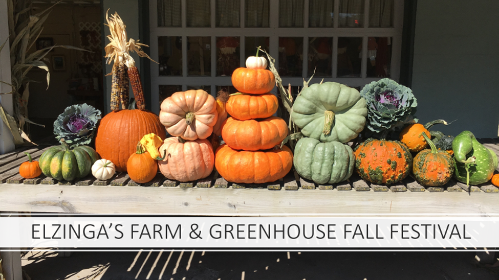 Elzinga Farm & Greenhouse