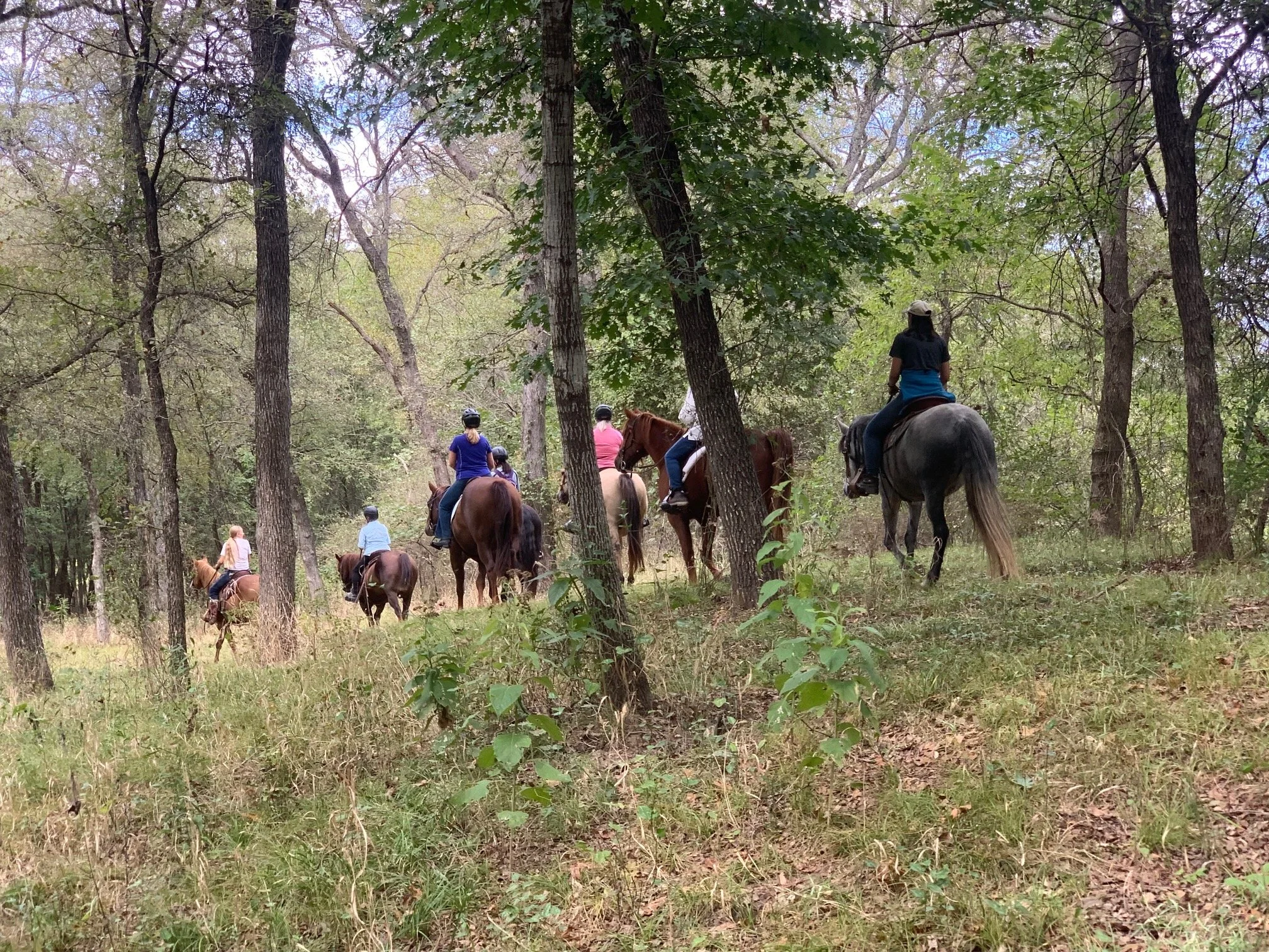Jim-a-Dee Ranch photo 19