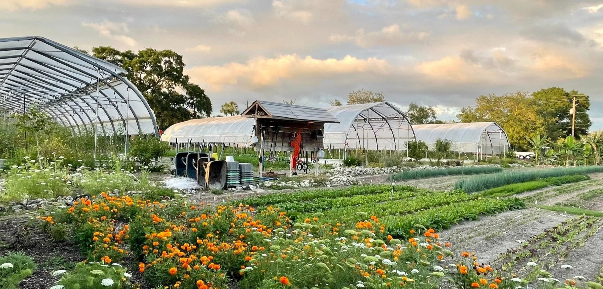Meacham Urban Farm