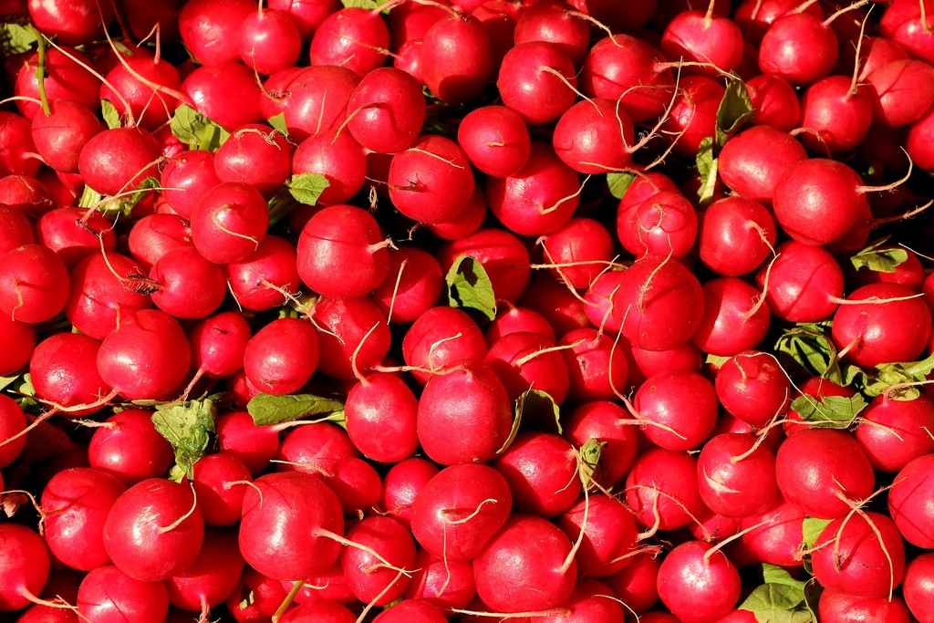 Catoosa Farmer's Market