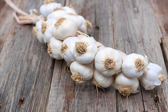 The Garlic Grove