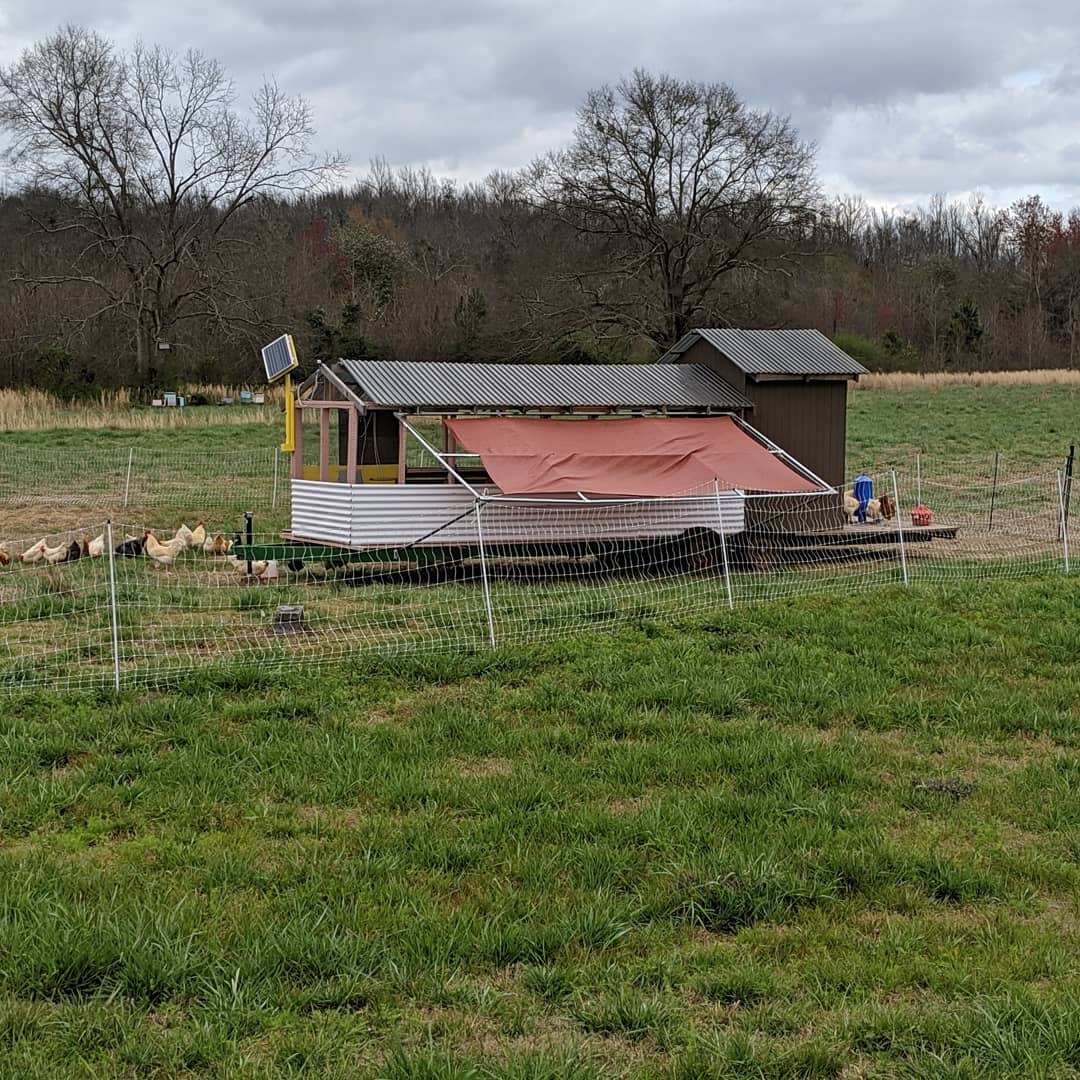 Sweet Gum Farm AL photo 3