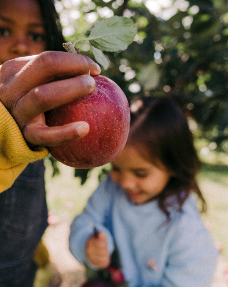 Hood River Farmers Market