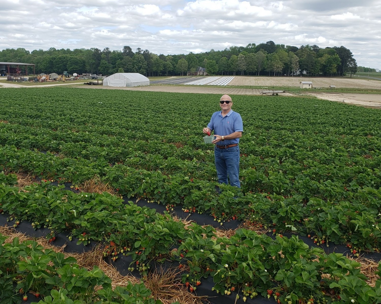 OGBURN BERRIES AND PRODUCE photo 4