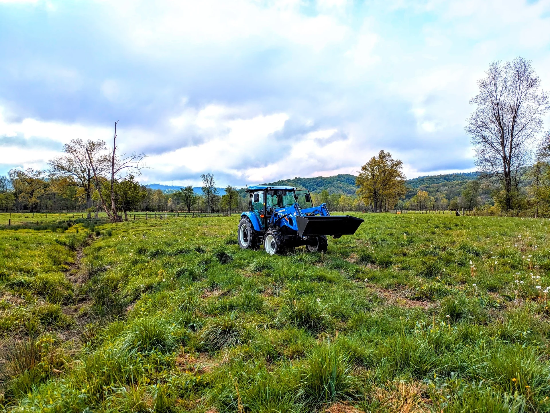 Payne Family Farm