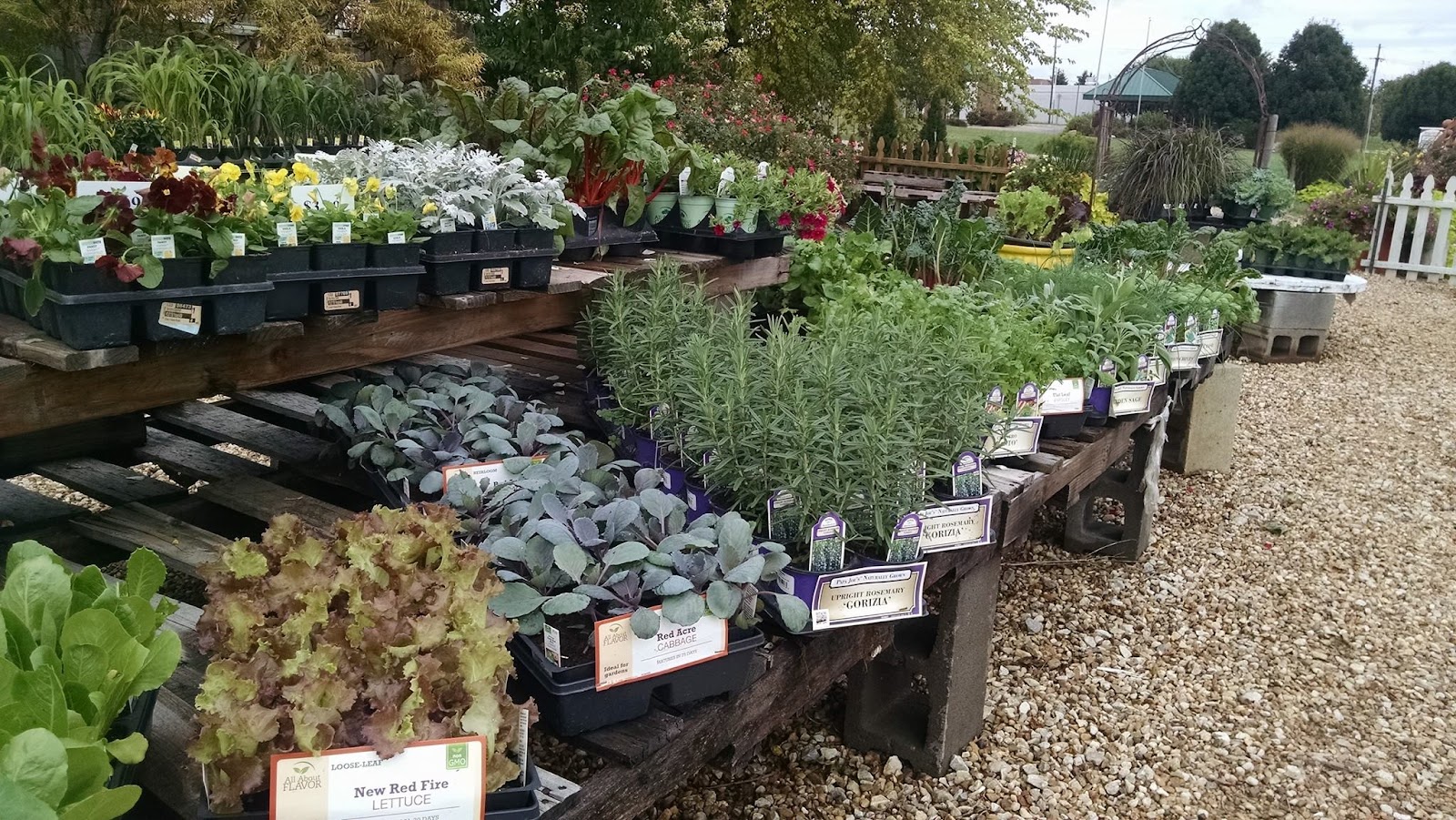 Clinton Parkway Nursery Farmers' Market photo 2