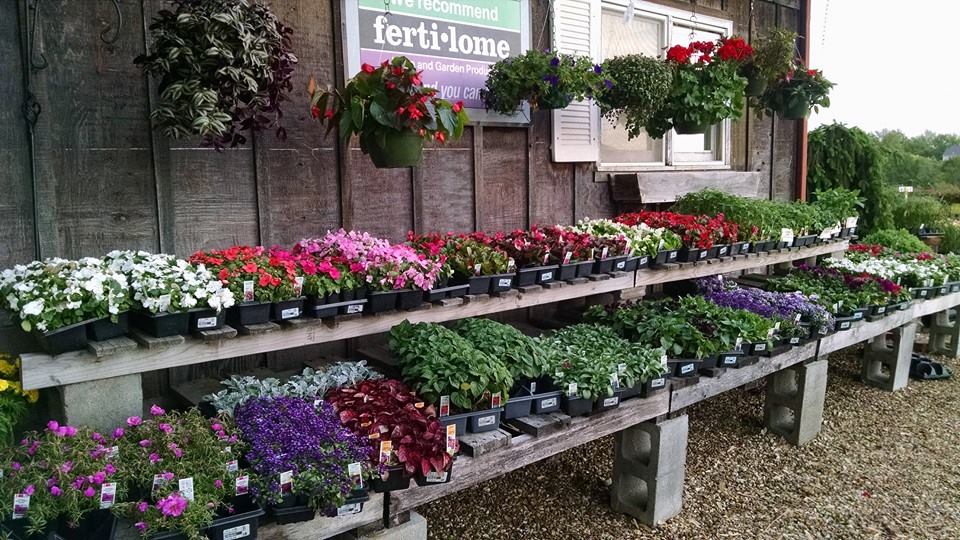 Clinton Parkway Nursery Farmers' Market photo 5