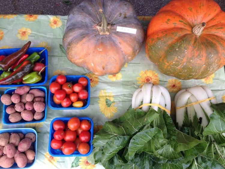 Cedar Valley Farmer's Market