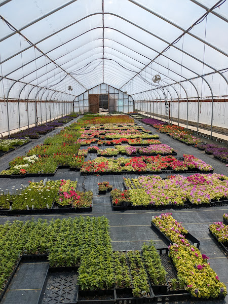 West Jordan Farmers' Market photo 2