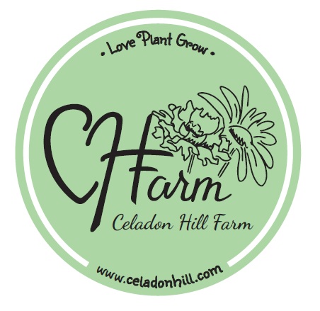 Celadon Hill