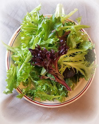 Abundant Goodness Gardens photo 2