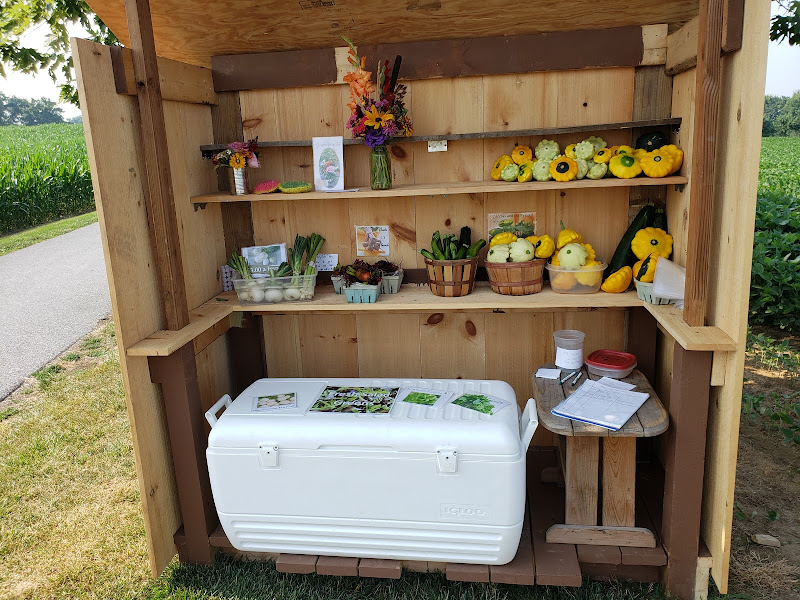 Abundant Goodness Gardens photo 3