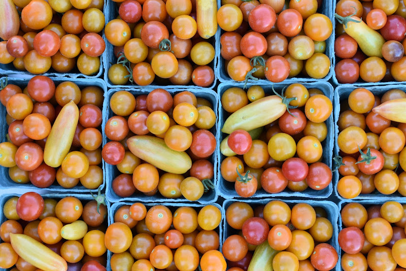 Abundant Goodness Gardens photo 4