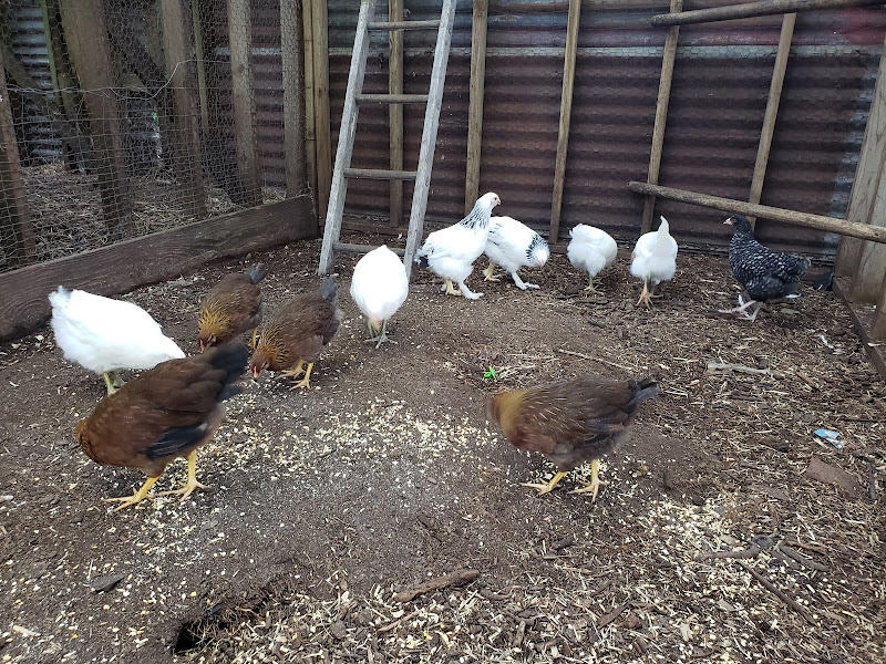 Red Flower Organics photo 2