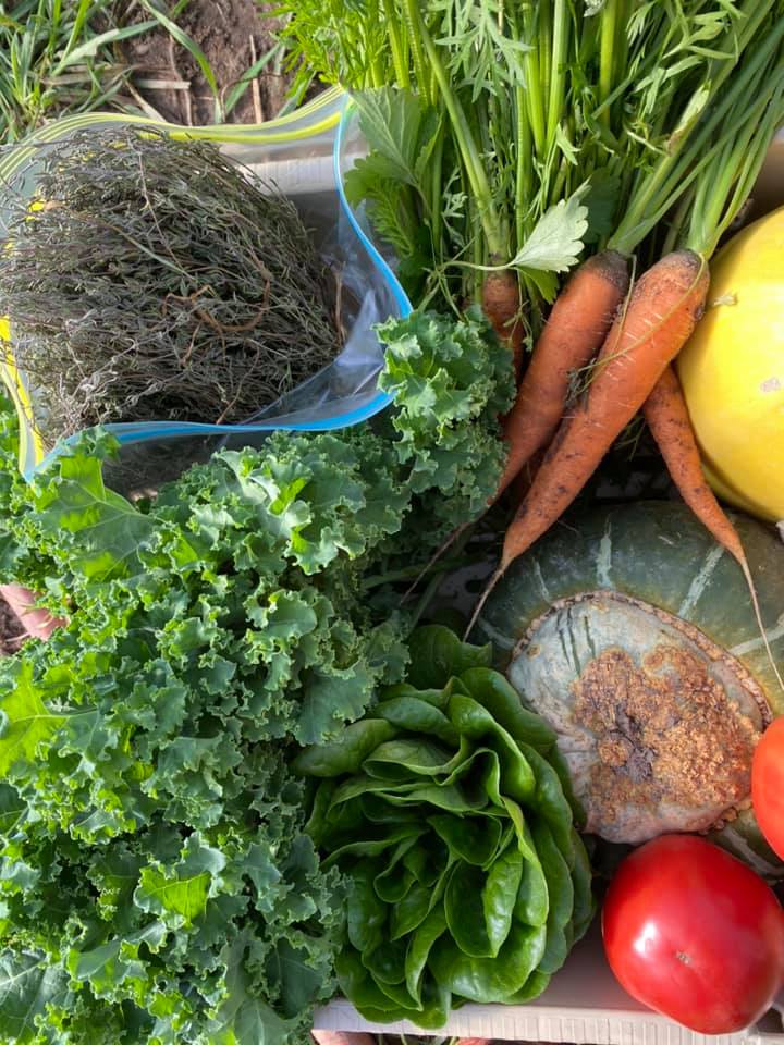 Chippewa Valley Produce LLC