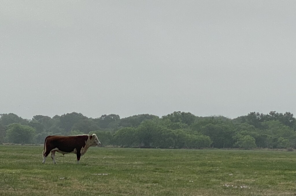 CY Farm & Distillery