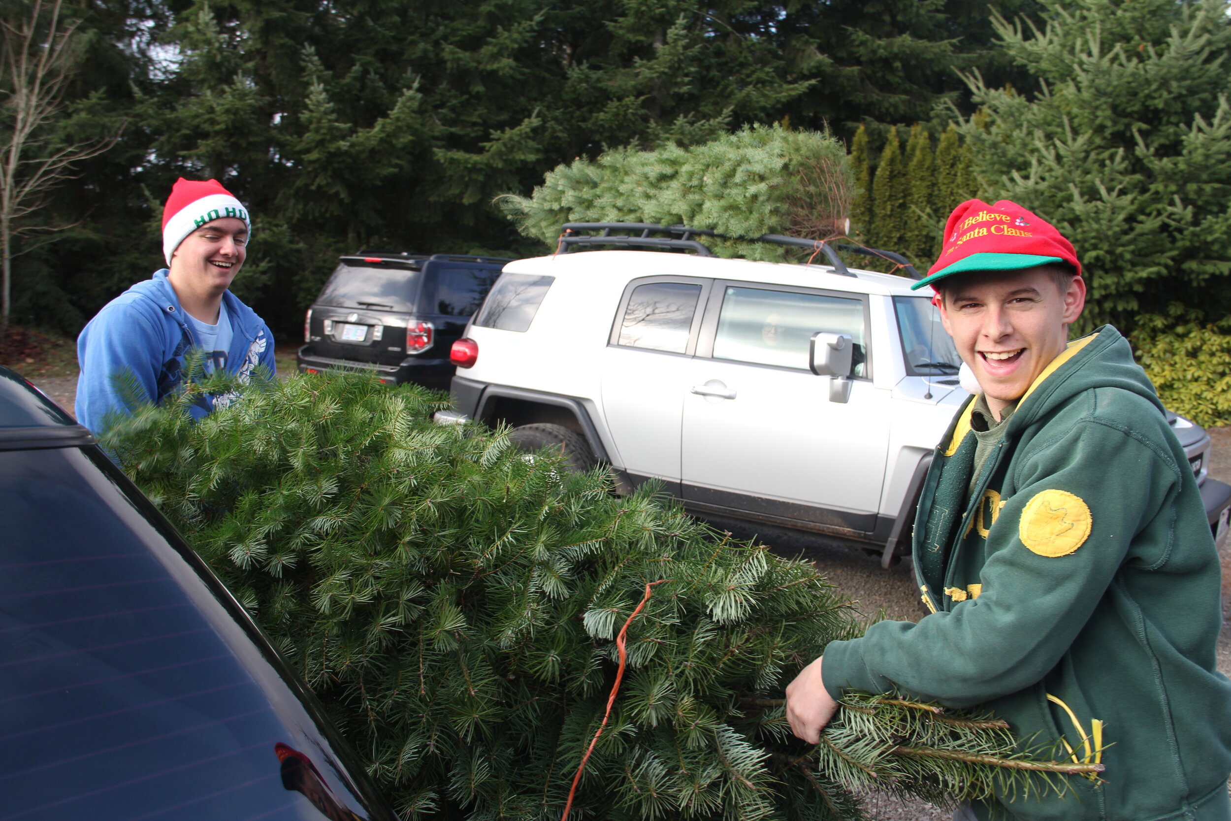 Beaverton Holiday U-Cut Christmas Tree Farm photo 12