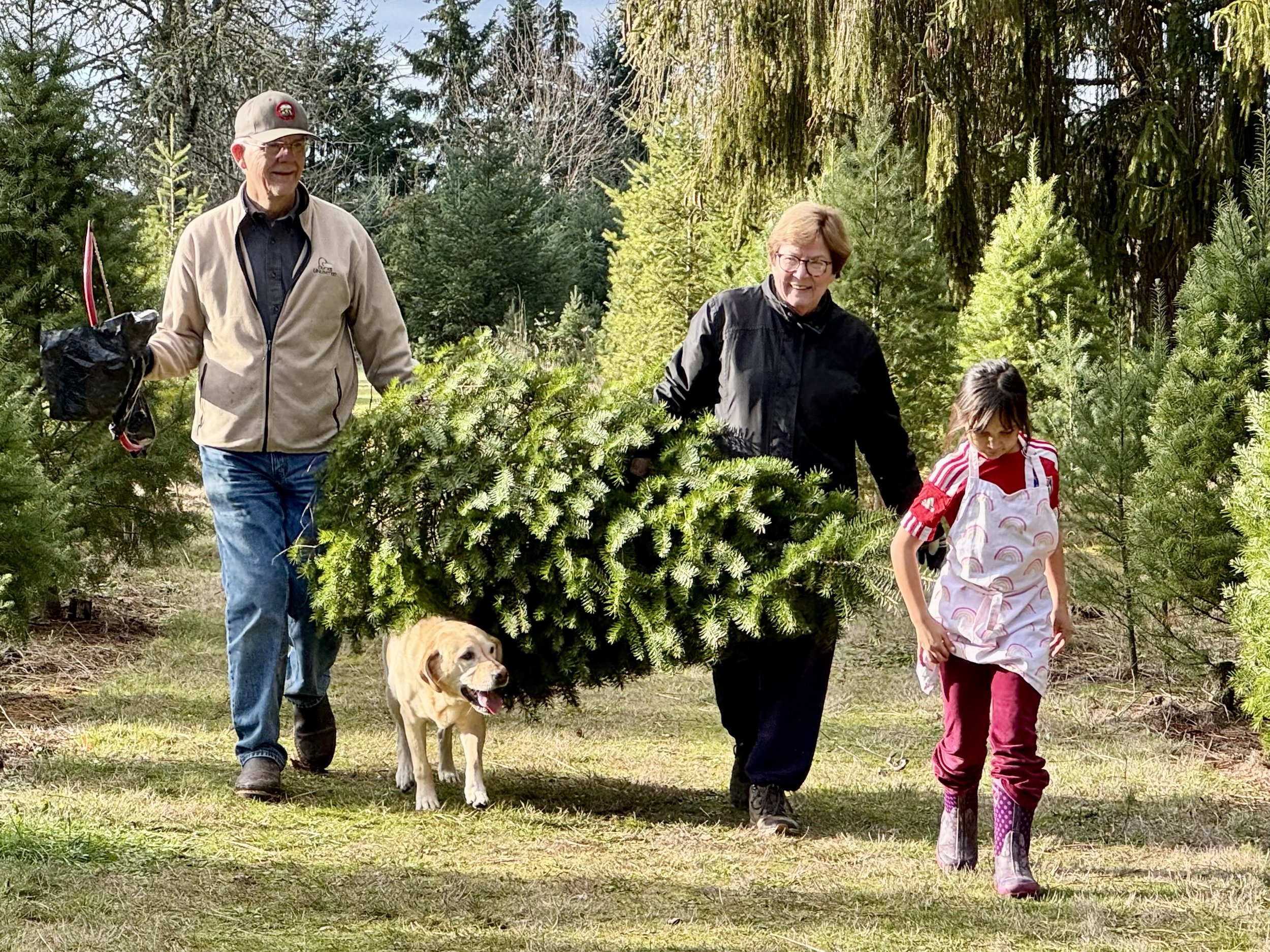 Beaverton Holiday U-Cut Christmas Tree Farm photo 11