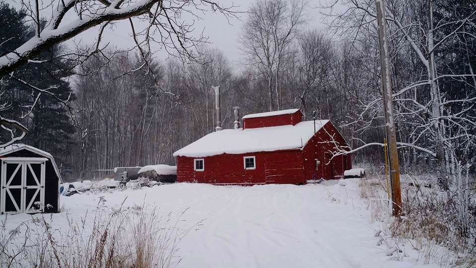 Lobdell Family Farm photo 4