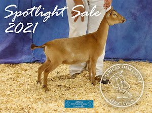 Ragels Goat Farm photo 14