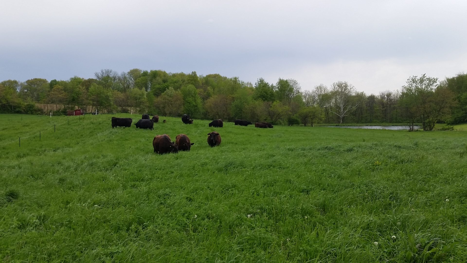 Prime Valley Farms LLC