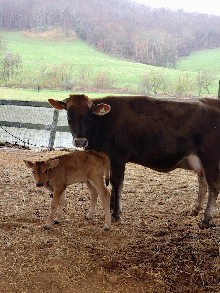 Mountain Valley Farm Store