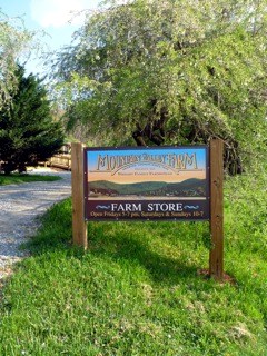 Mountain Valley Farm Store photo 4