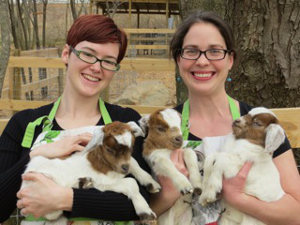 Mountain Valley Farm Store photo 5