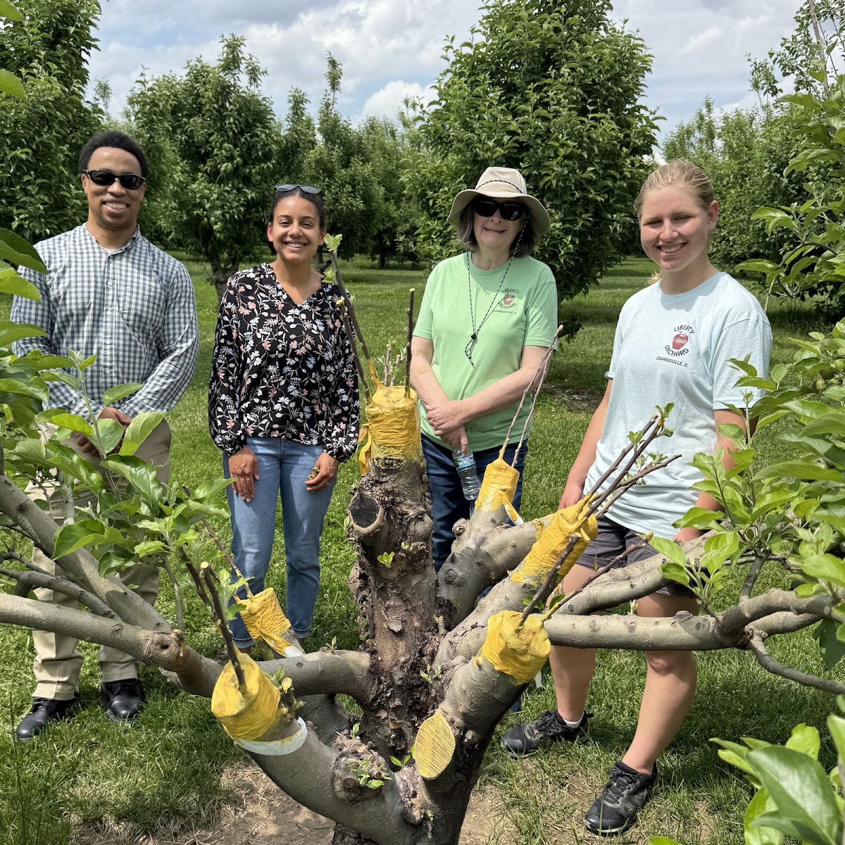 Liberty Apple Orchard photo 25