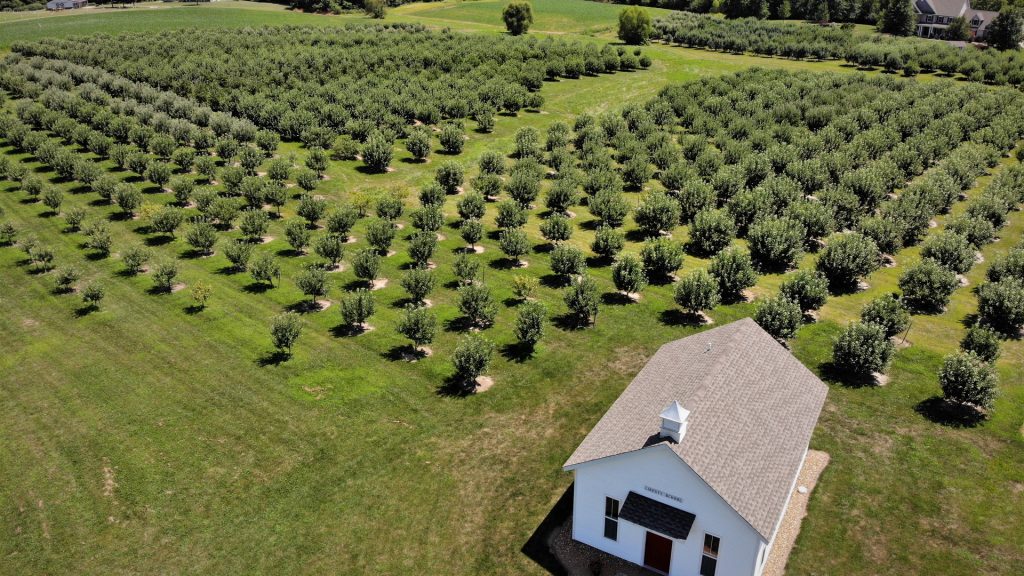 Liberty Apple Orchard
