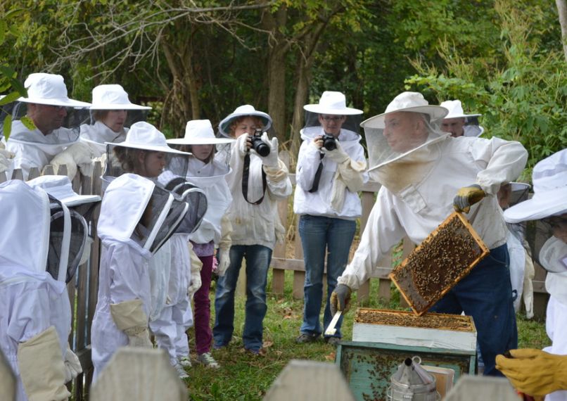 Hillside Honey Apiary