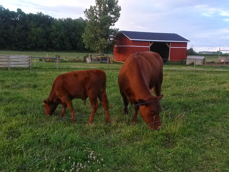 BP Farms, LLC photo 2