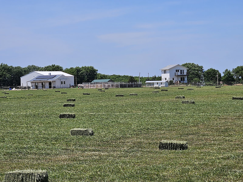 Prairie Hoof Farm photo 2