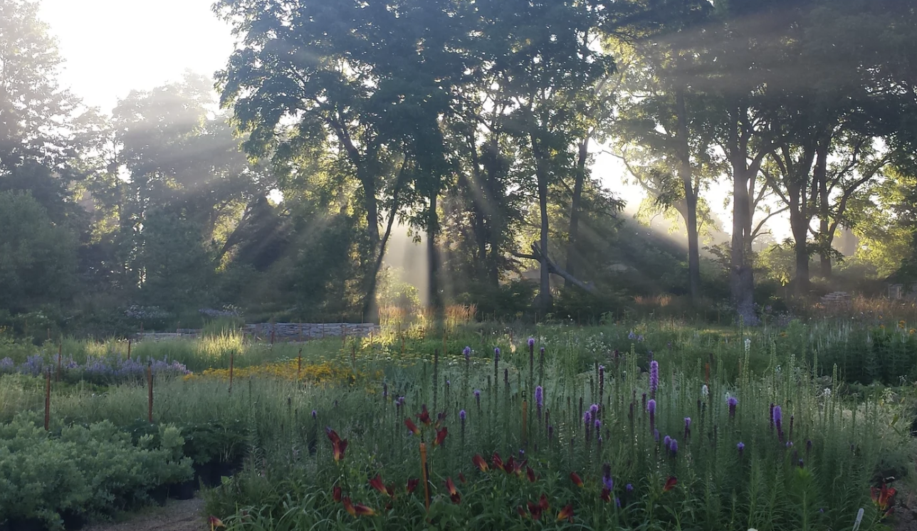 Northwind Perennial Farm Market