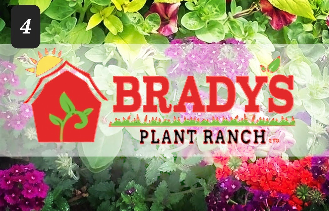 Bradys Plant Ranch