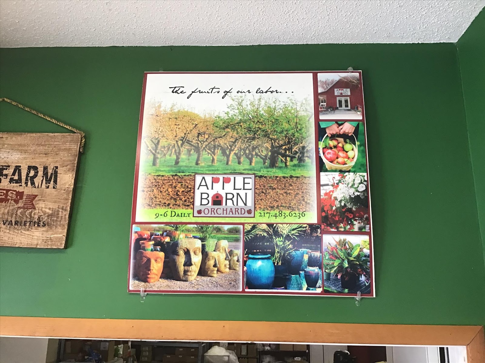 Apple Barn Orchard photo 2