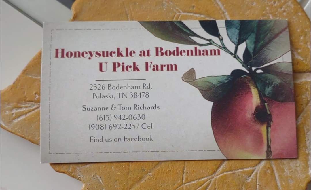 Honeysuckle at Bodenham Farm photo 3