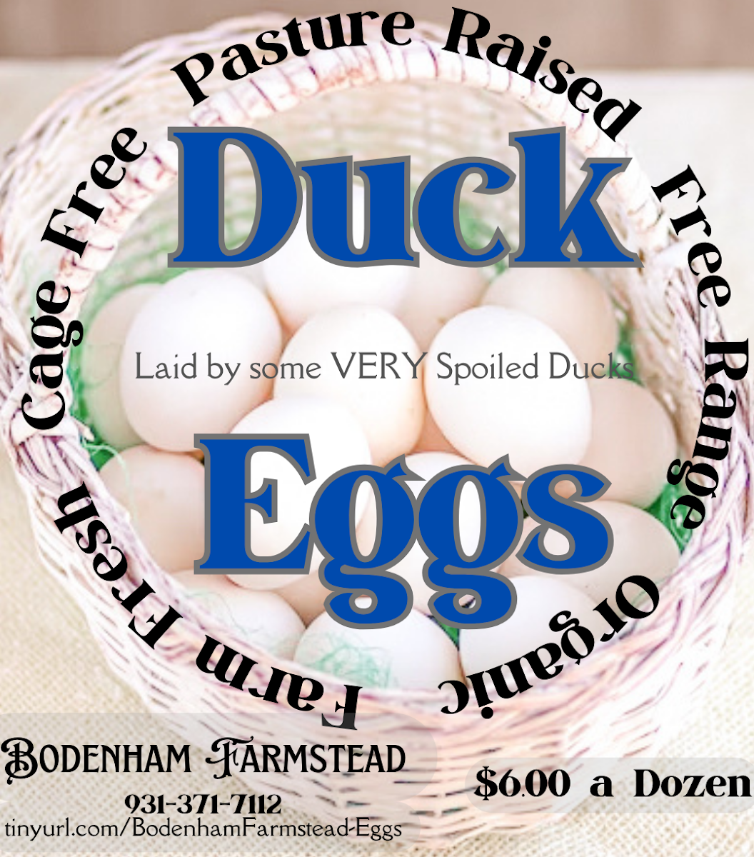 Honeysuckle at Bodenham Farm photo 4