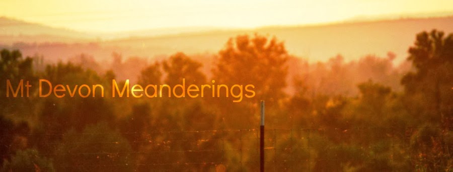 Mt Devon Farm and Fiber