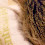 Mt Devon Farm and Fiber photo 24