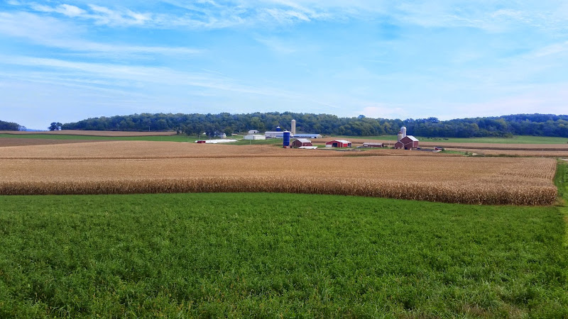 Green Fire Farm photo 19