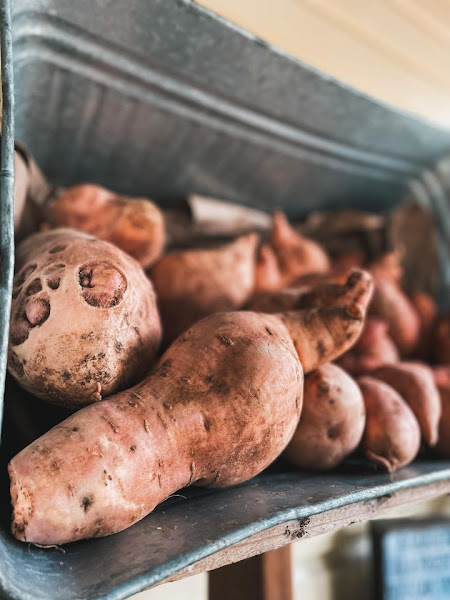 Natural Living photo 26