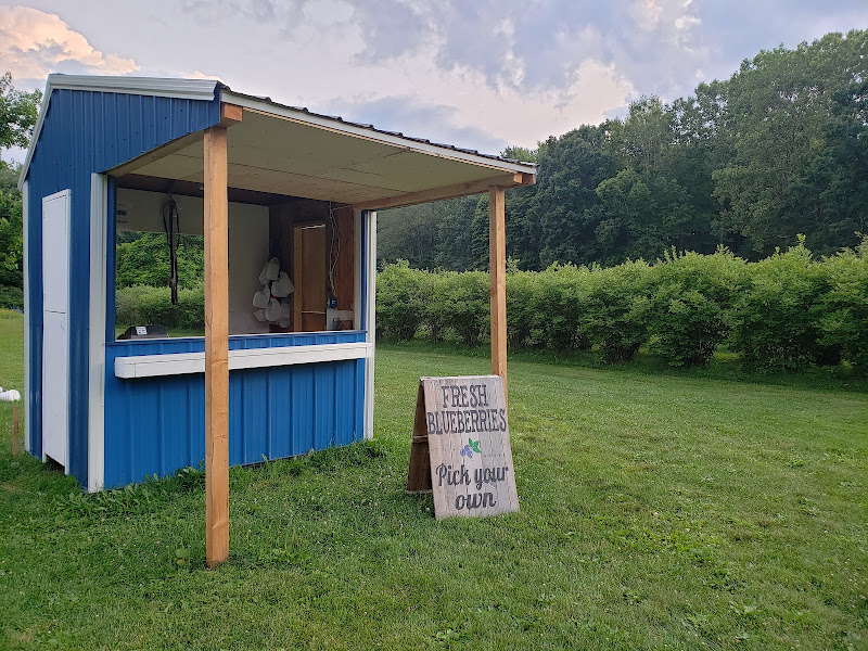 Blueville Acres Blueberry Farm