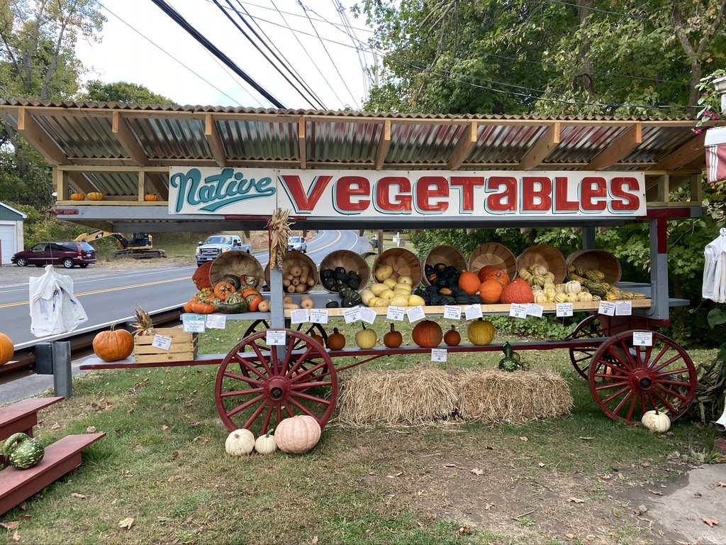 Killam and Bassette Farmstead photo 22