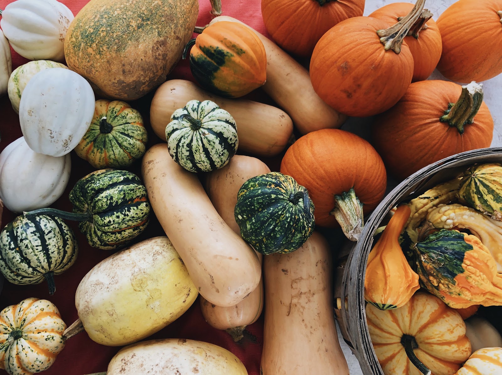 Killam and Bassette Farmstead photo 24