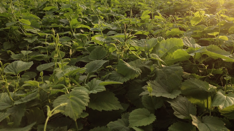 Unity Acres Farm photo 3