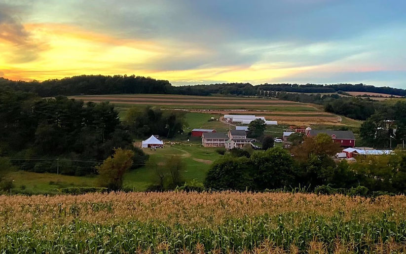 Hillside Meadow Farm photo 6