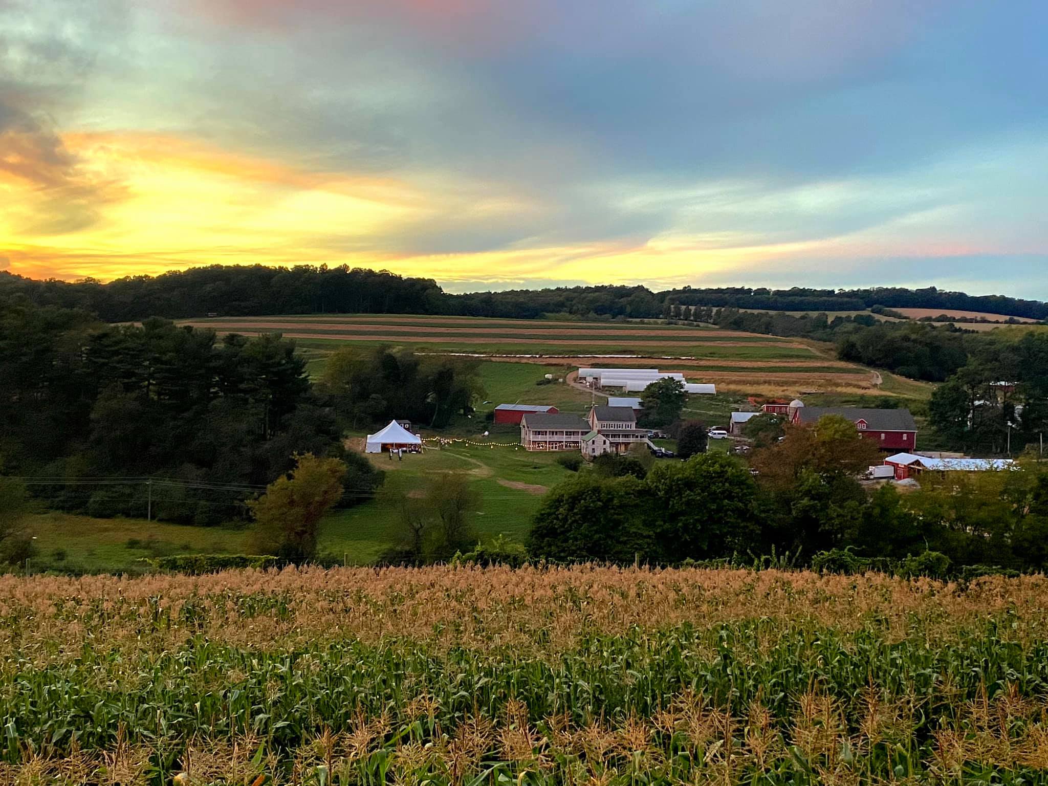 Hillside Meadow Farm