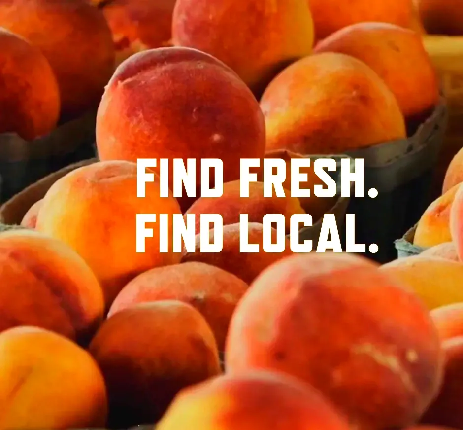 Guilford Farmers Market