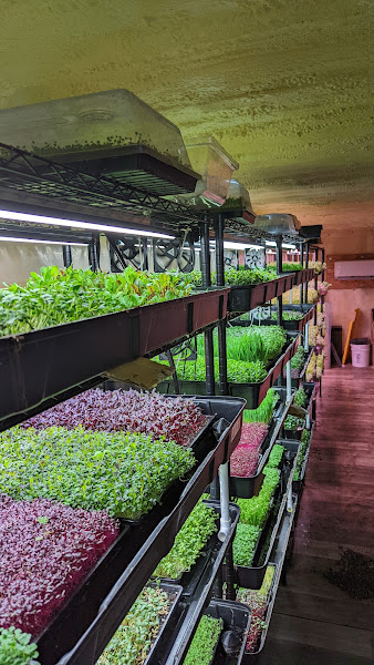 Griffin Hall Farms LLC